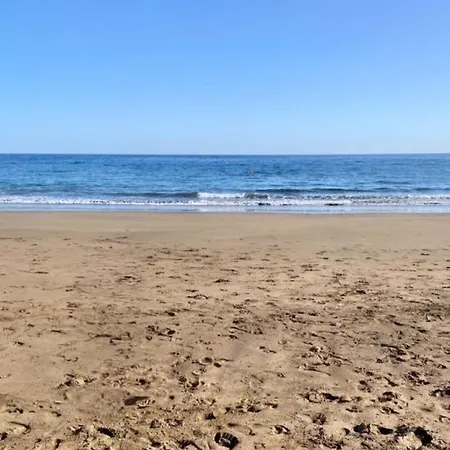 Blue Miracle * アレシフェ