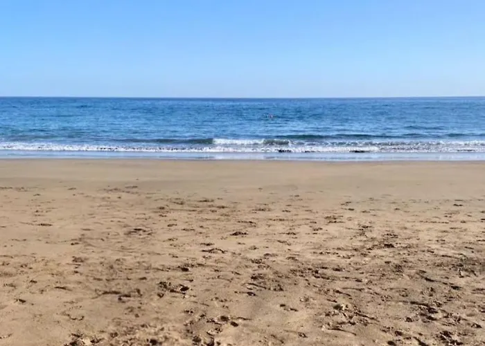 Blue Miracle * 阿雷西费